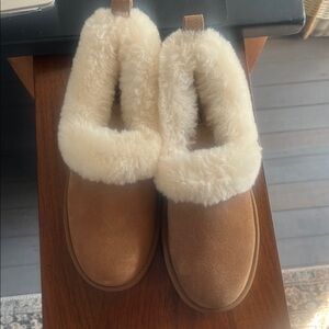 UGG  Tazzellre Chestnut Suede Shearling-Lined  with Cream Fur Collar